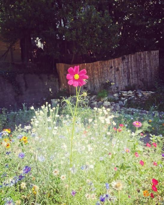 Appartamento Belle Dependance De 30M2 Avec Terrasse Et Jardin Villeneuve-lès-Avignon Esterno foto