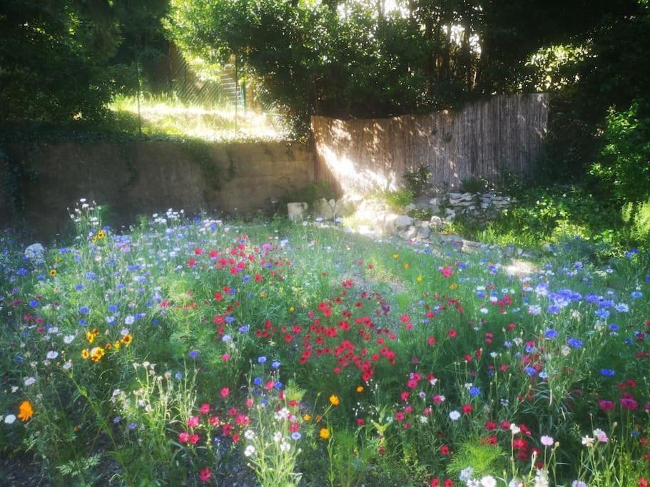 Appartamento Belle Dependance De 30M2 Avec Terrasse Et Jardin Villeneuve-lès-Avignon Esterno foto